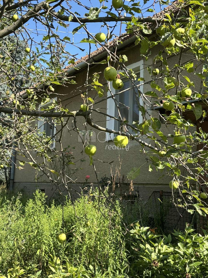 various photo of real estate