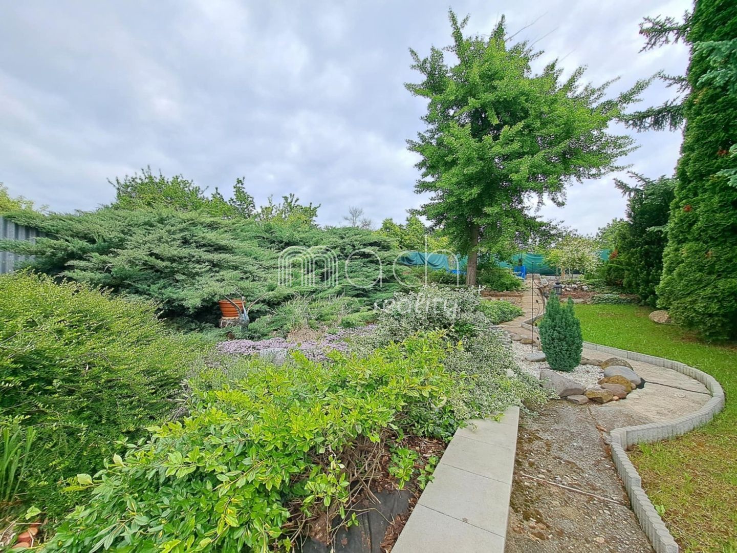 various photo of real estate