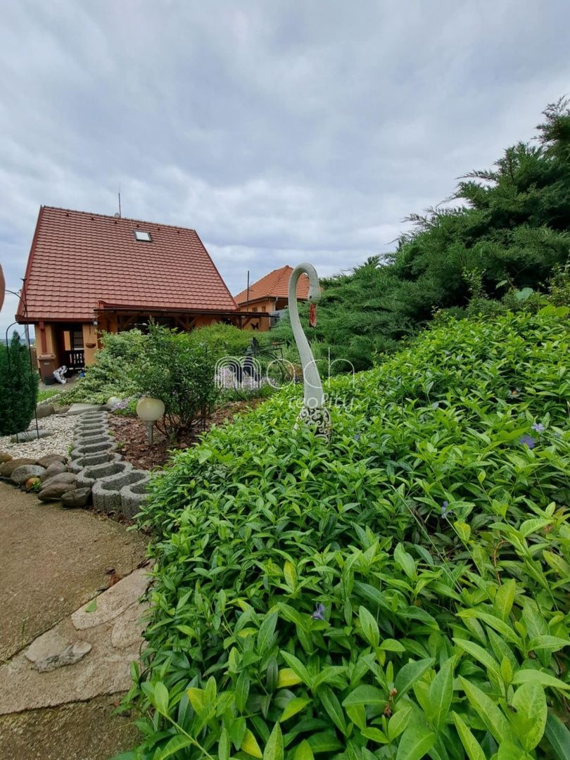 various photo of real estate