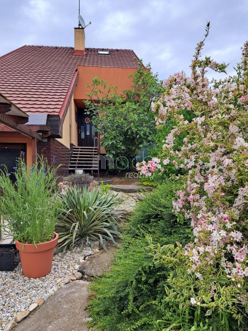 various photo of real estate