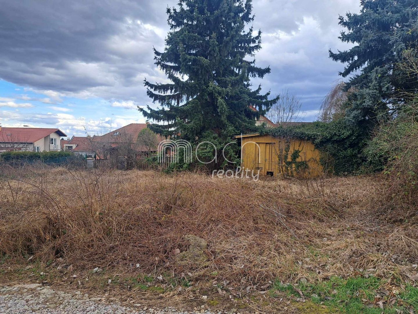 various photo of real estate