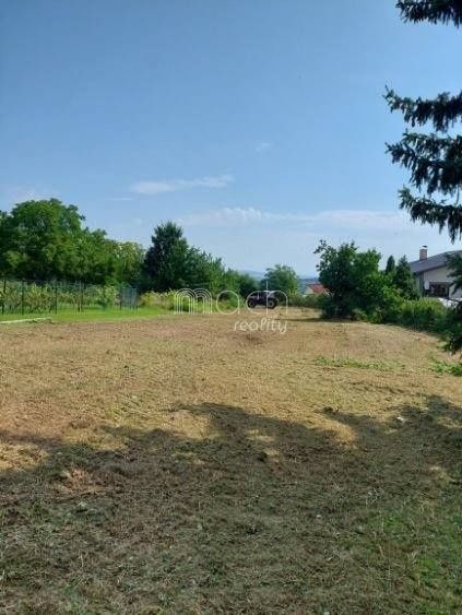 various photo of real estate