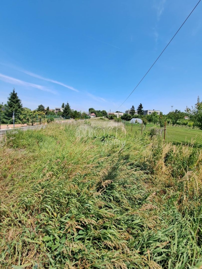 various photo of real estate