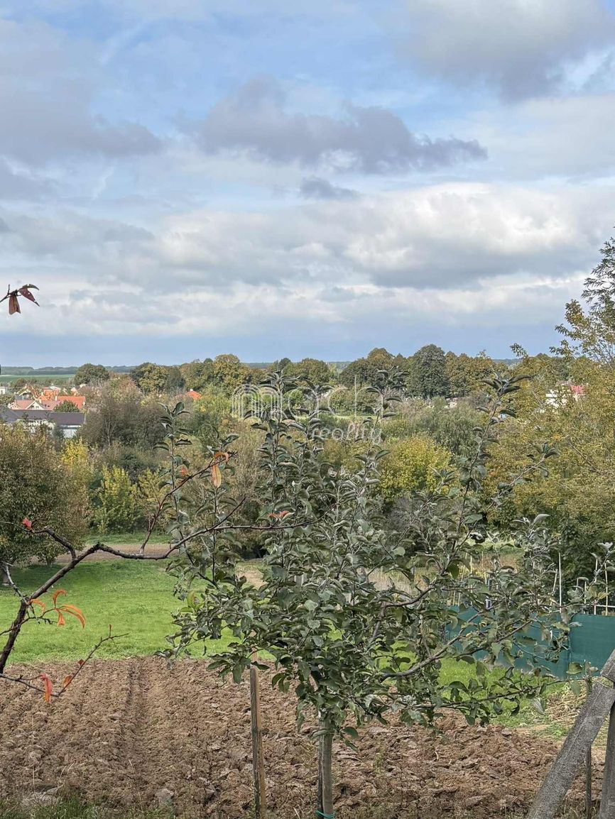 various photo of real estate