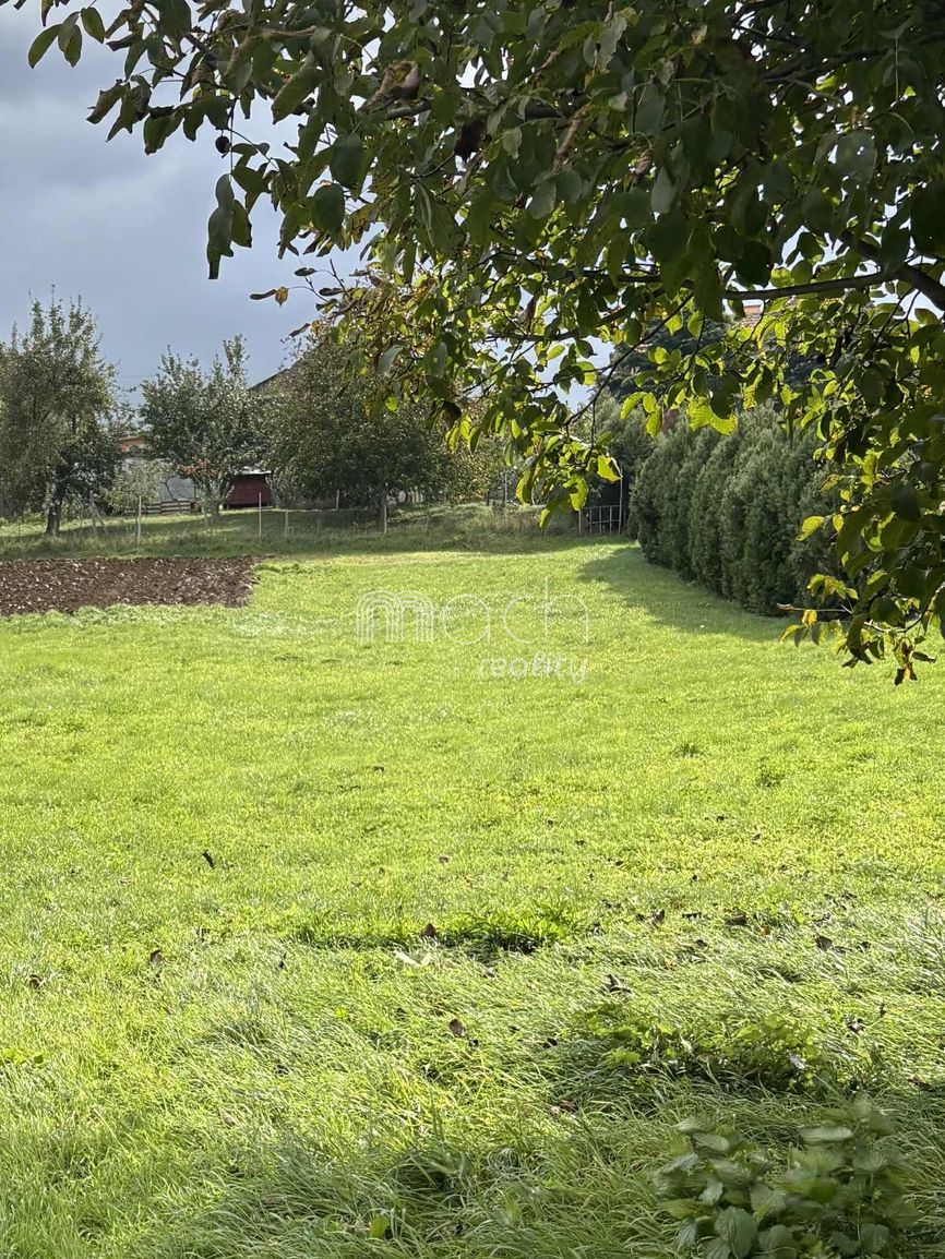 various photo of real estate