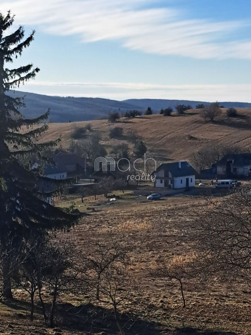 various photo of real estate