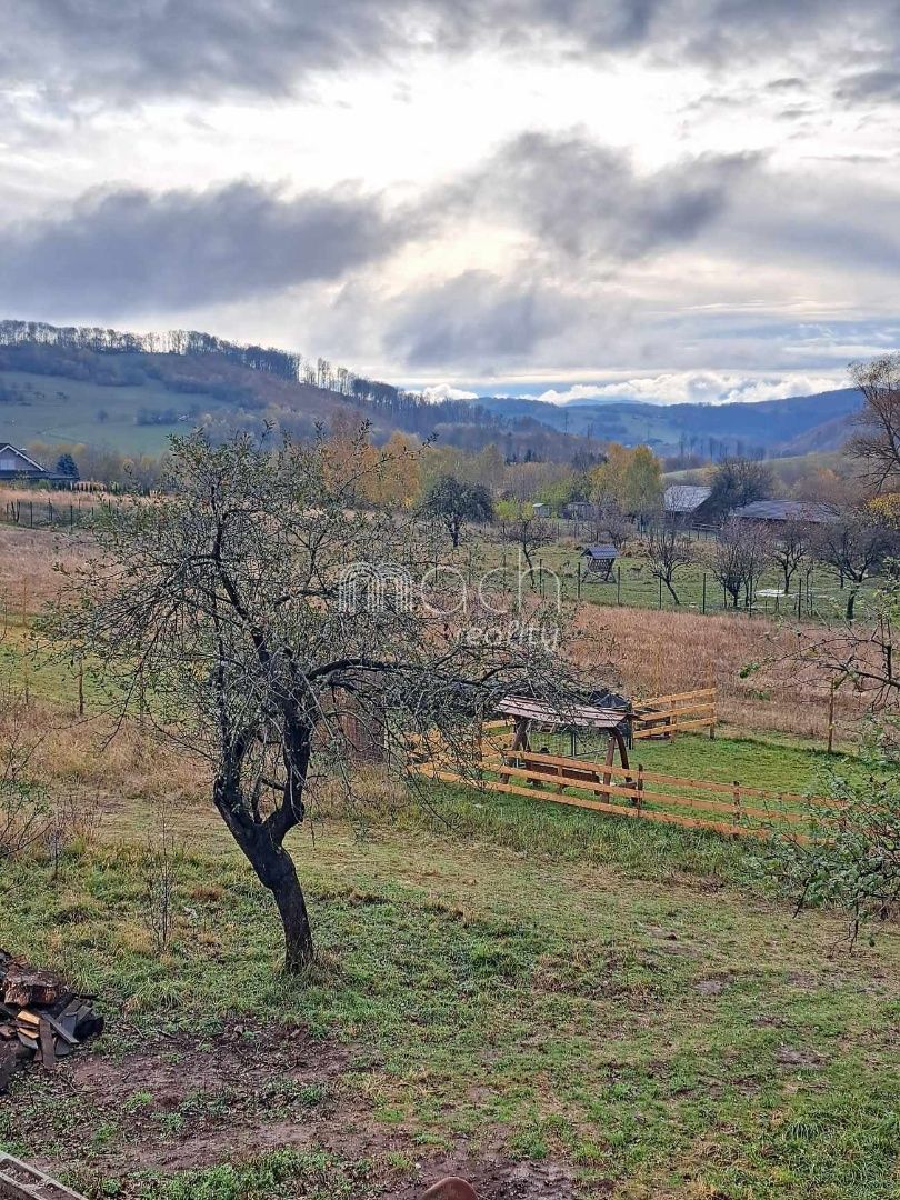 various photo of real estate