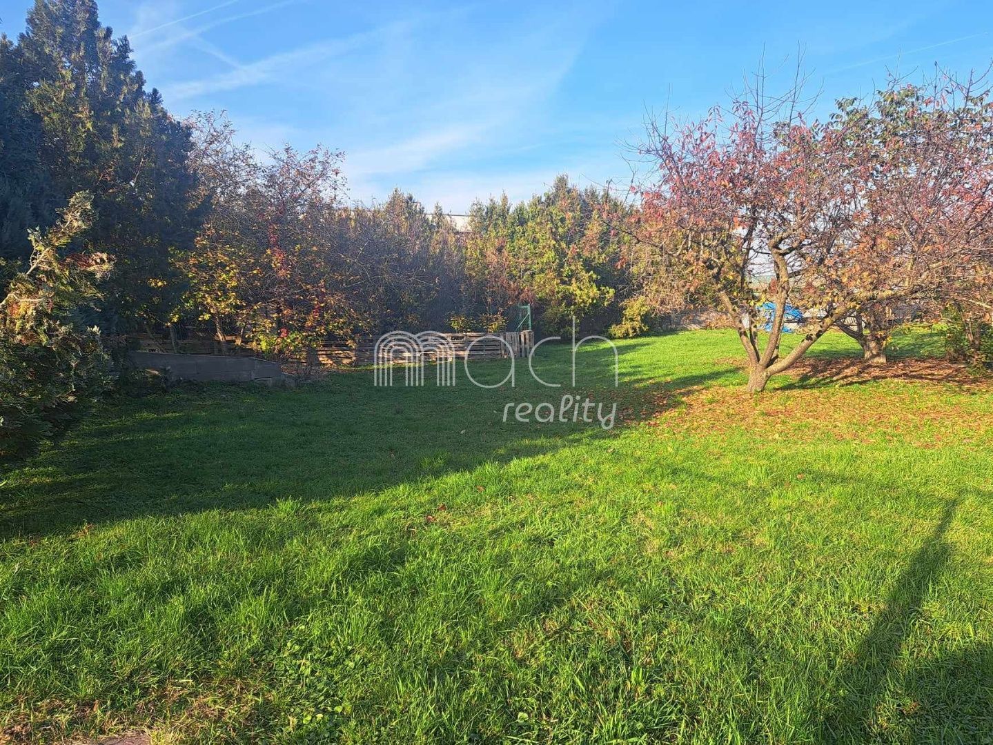 various photo of real estate