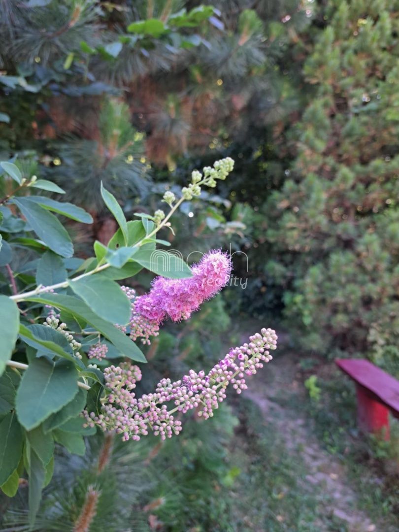 various photo of real estate