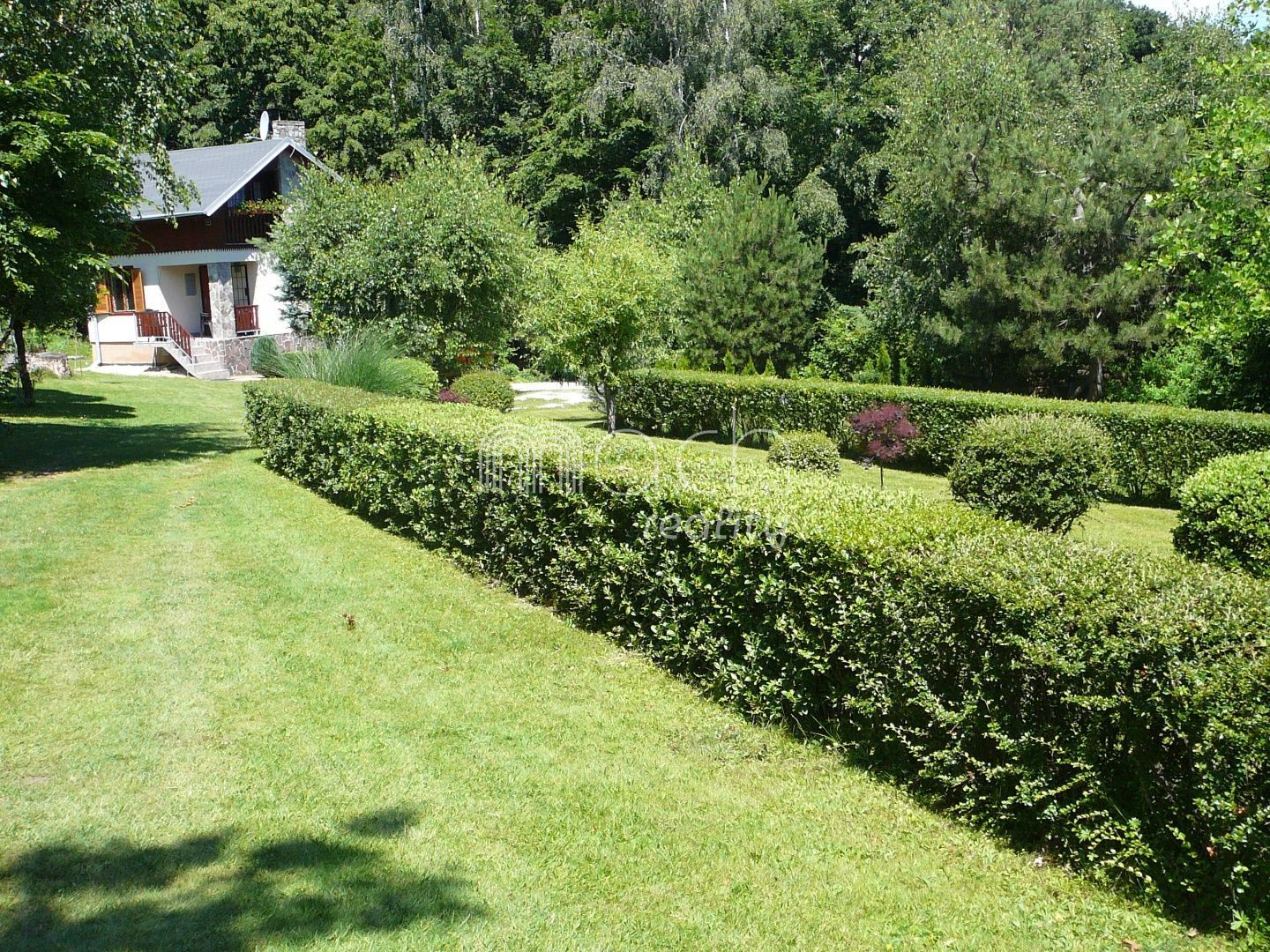 various photo of real estate