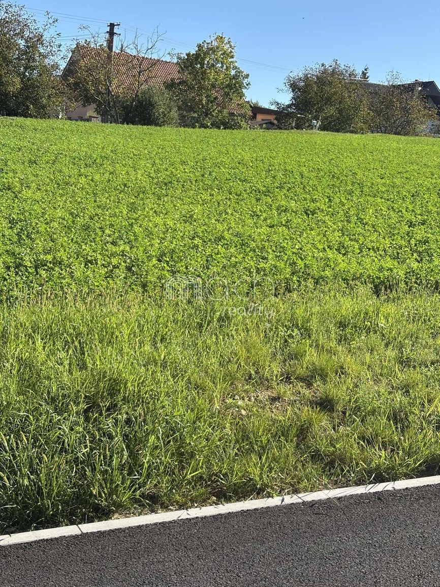 various photo of real estate