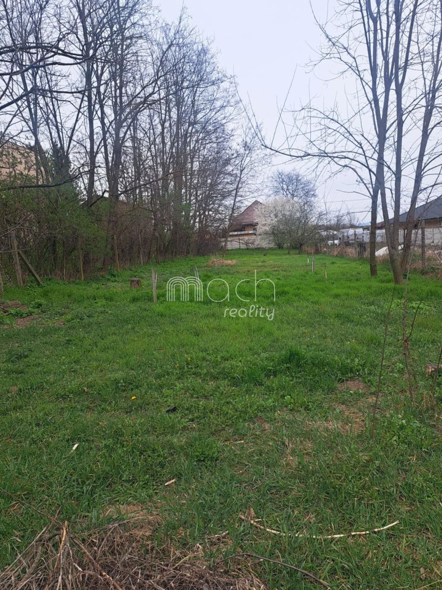 featured image of real estate