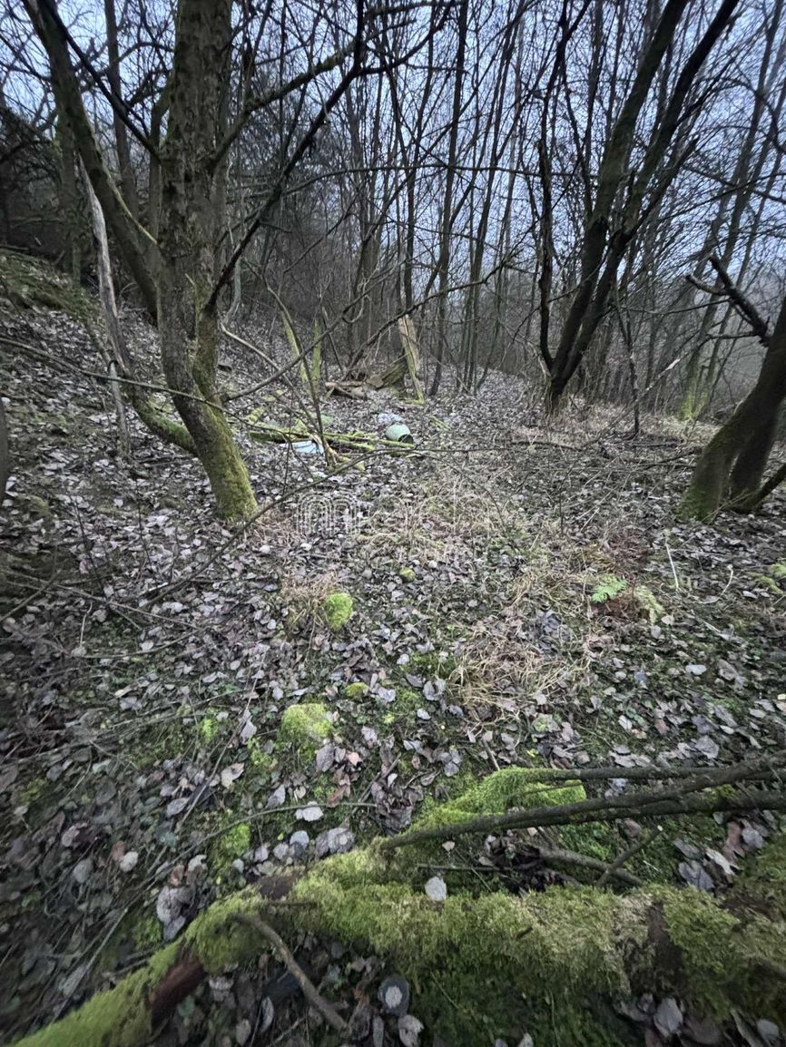 featured image of real estate