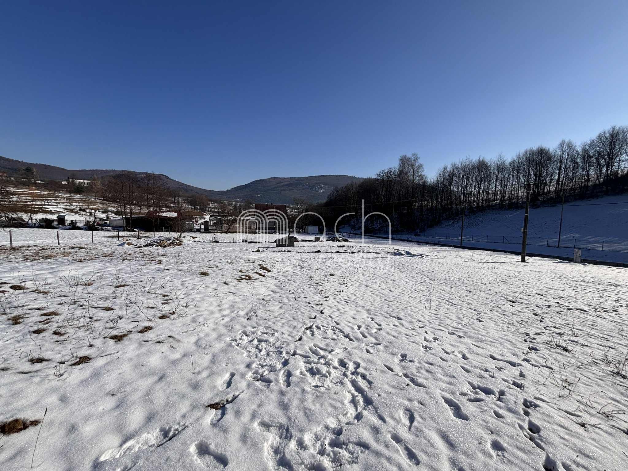 various photo of real estate