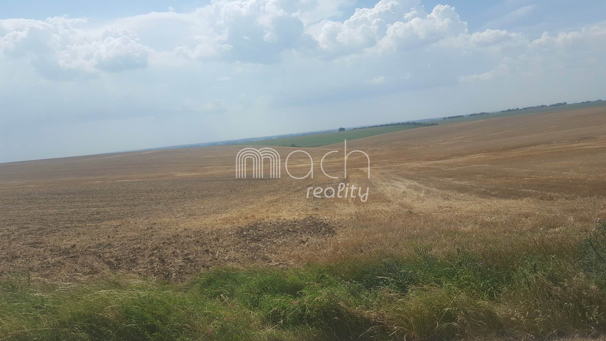 featured image of real estate