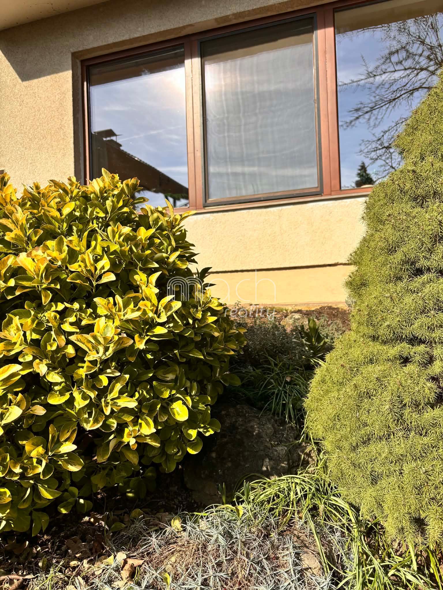 various photo of real estate