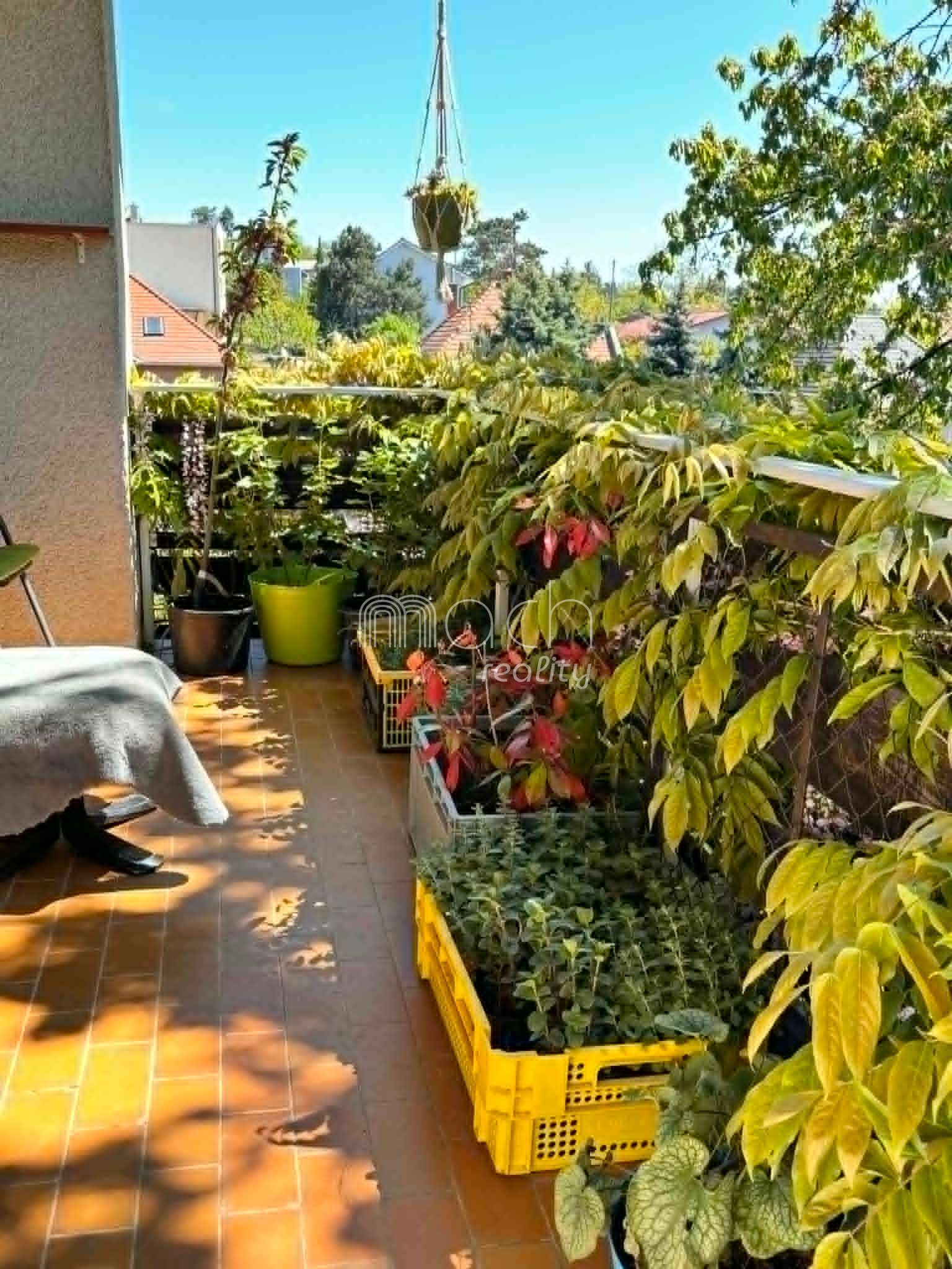 various photo of real estate