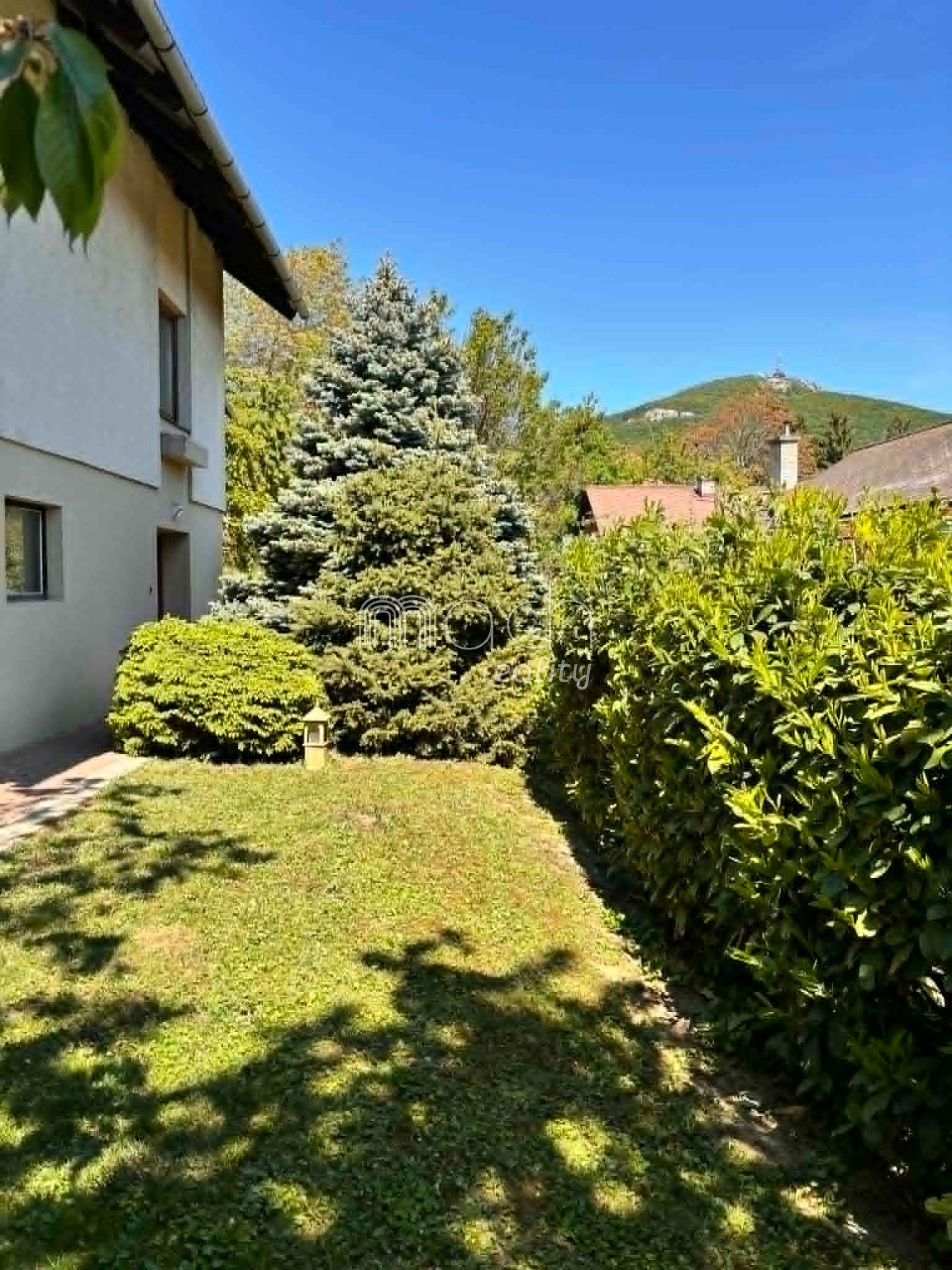various photo of real estate