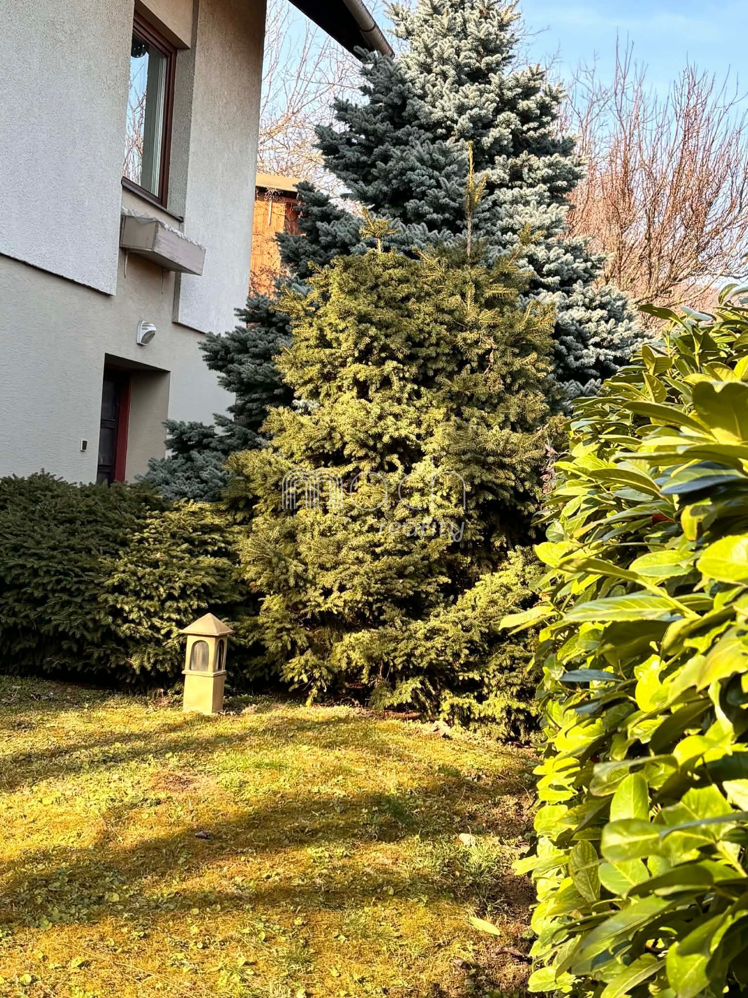 various photo of real estate