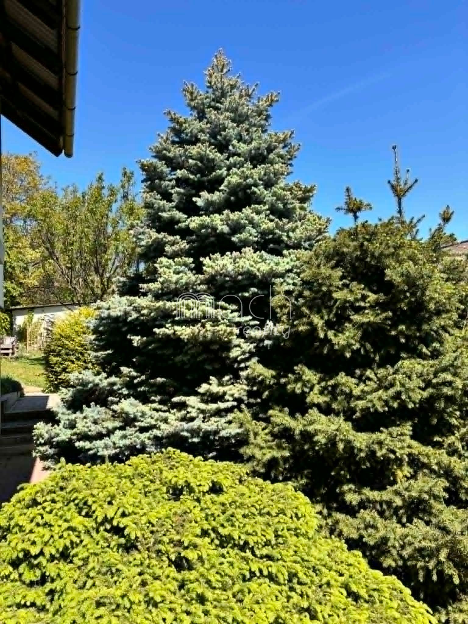 various photo of real estate
